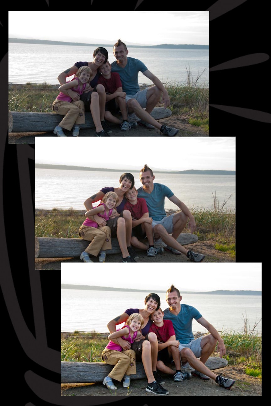 three separate photos of a mom, dad, son, and daughter sitting on a log