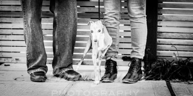 black and white photo of a dog between two pairs of legs outside