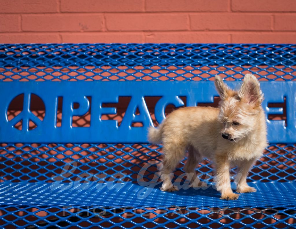 Peaceful+on+the+bench