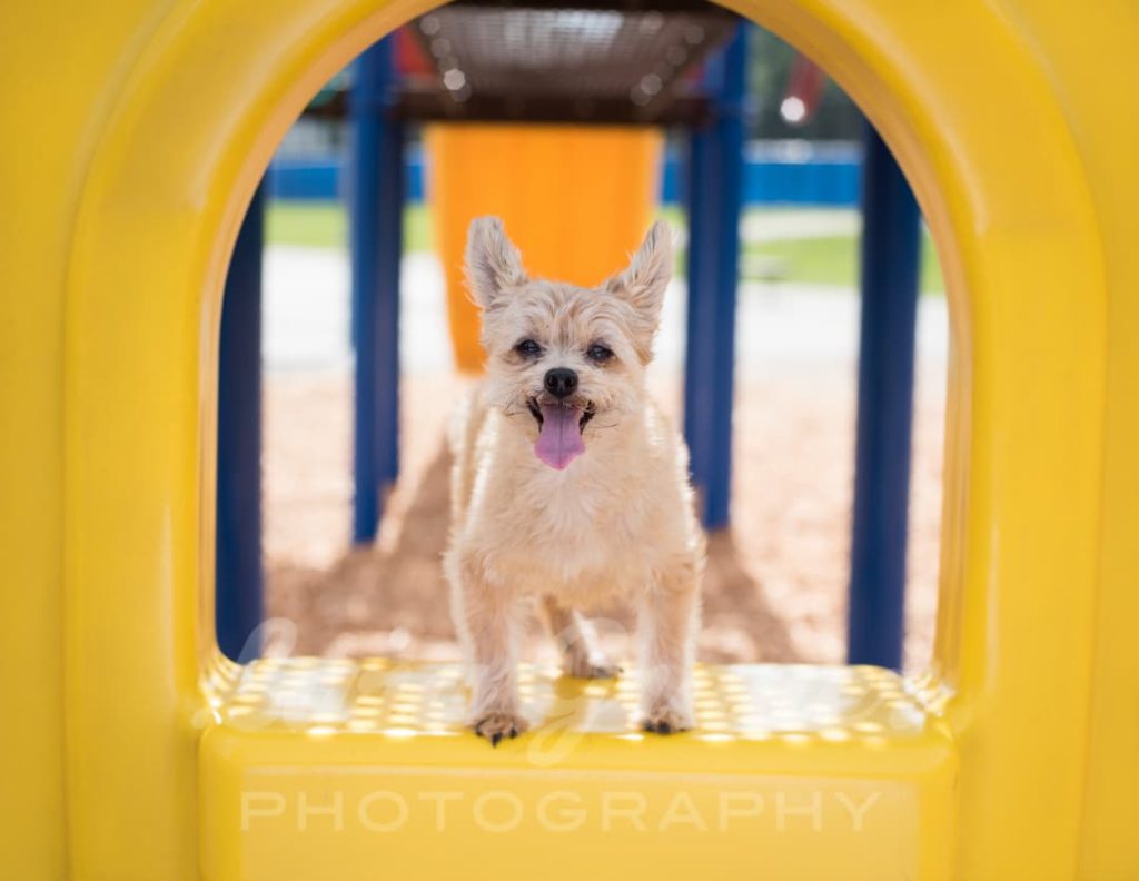 Sunshine+in+the+park