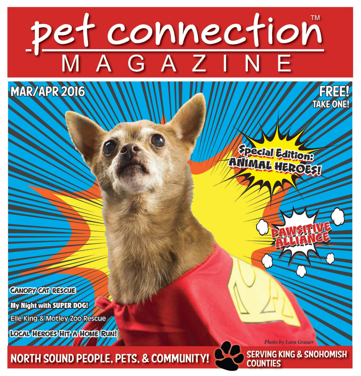 super hero brown dog with a red cap magazine cover that says pet connection magazine