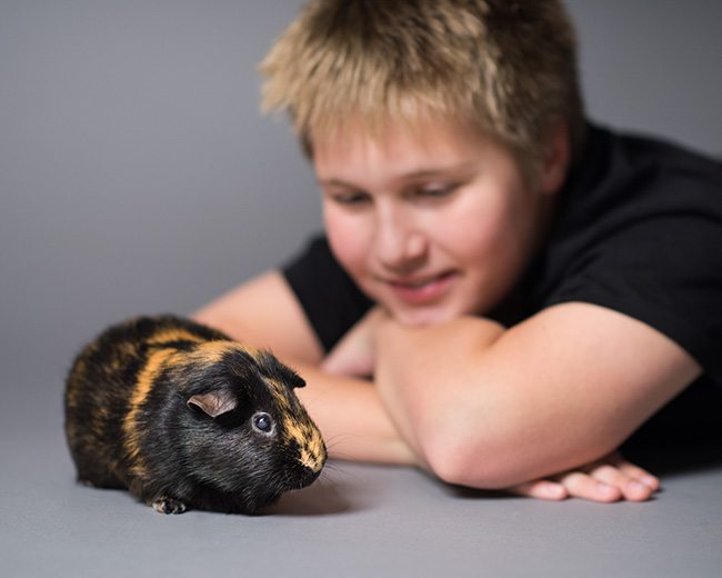 teenage boy posing with a brown and black guinea pig.