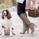 black and brown dog posing next to a women with brown boots and brown bag.