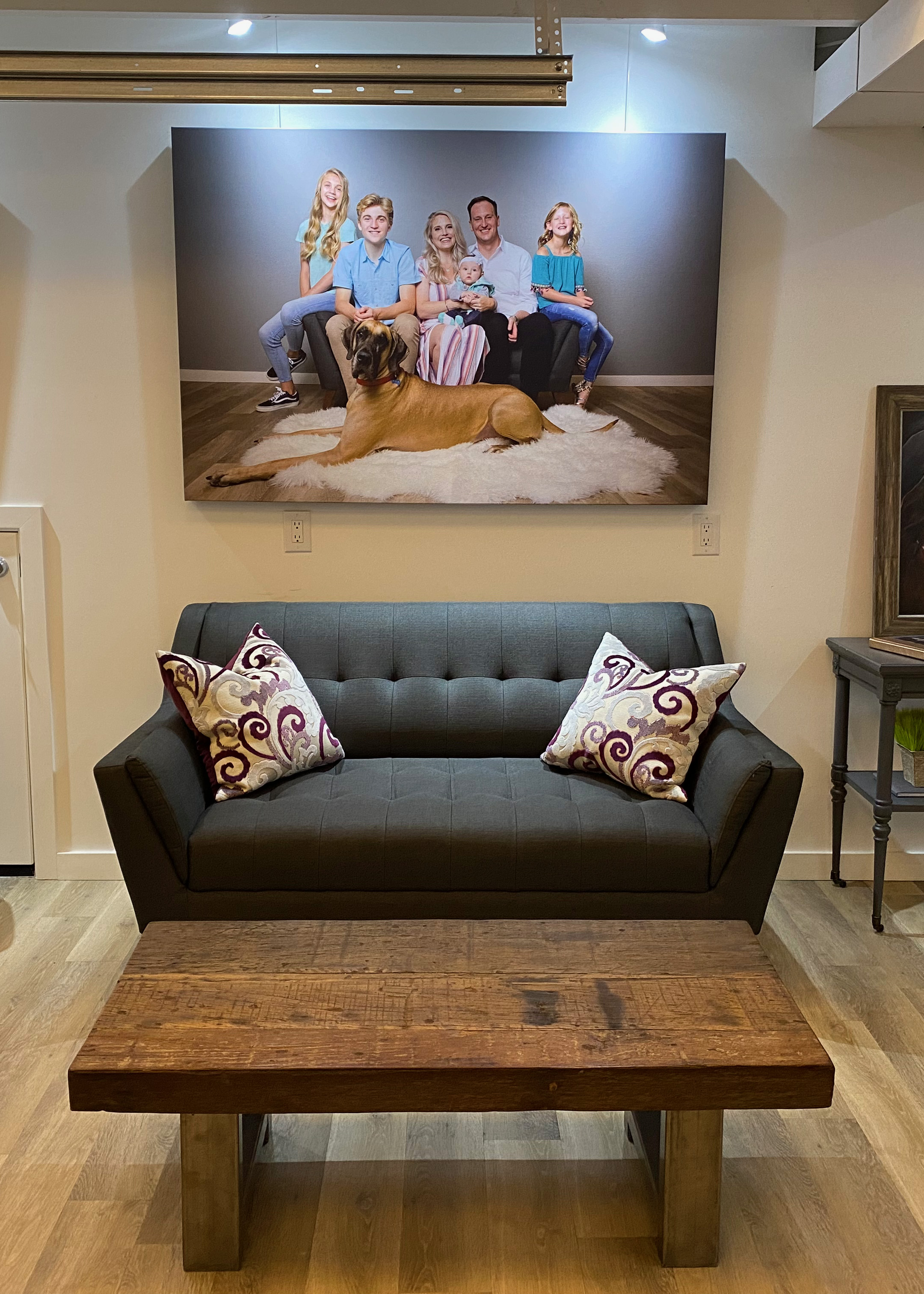 Photo of Wall art above couch at Lara Grauer Photography Seattle Portrait Studio